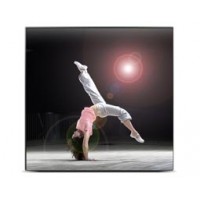 (Discontinued)Premium LED Monitor, 1:1, 2.75mm Bezel Size, 5.5mm